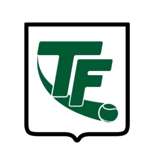Tenis Ferro logo